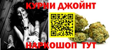гидра Гай
