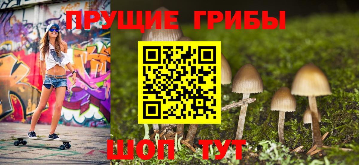 Нарткала  Псилоцибиновые грибы Cubensis  Псилоцибиновые грибы ЛСД  Вход с VPN 