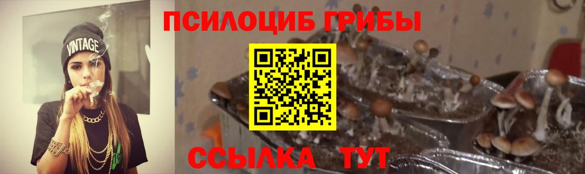 Псилоцибиновые грибы мицелий Нарткала